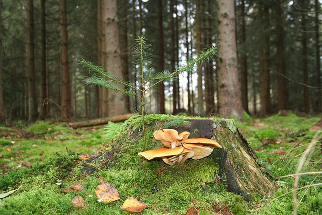 Få styr på generationsskifte: De vigtigste juridiske overvejelser